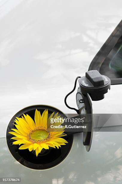 biodiesel - bio diesel foto e immagini stock