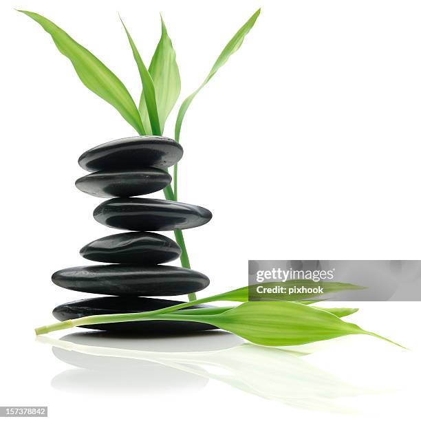 feng shui balance - bamboo plant stockfoto's en -beelden