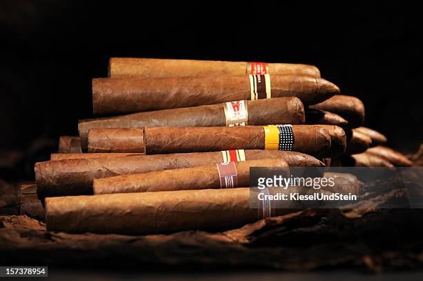 verschiedene kubanische zigarren - cigar stock-fotos und bilder