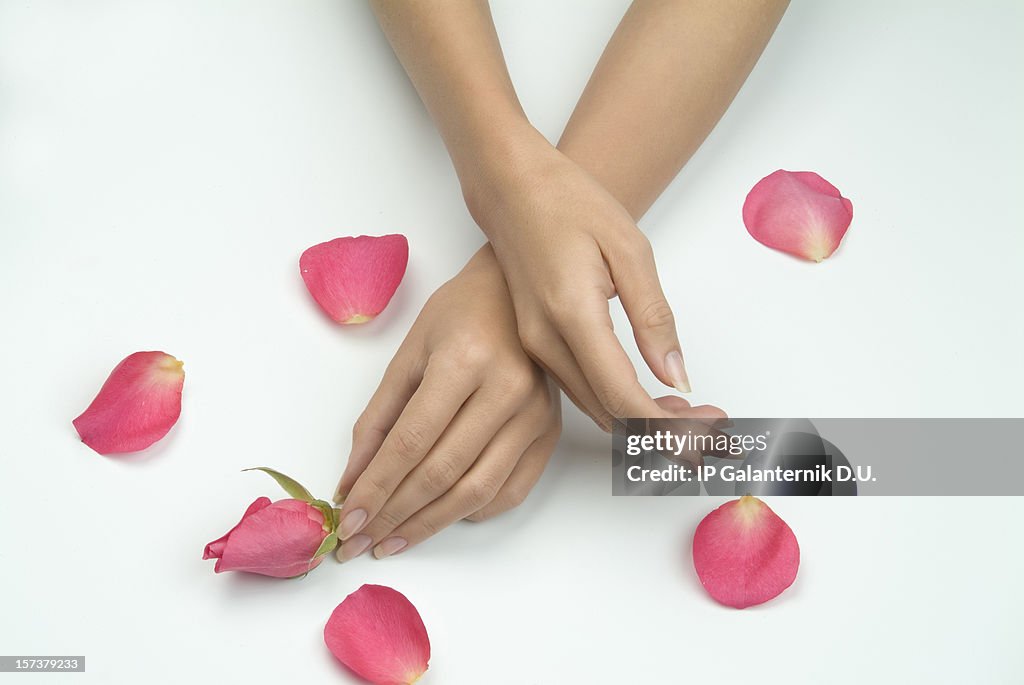 Lady's hands touching flowers