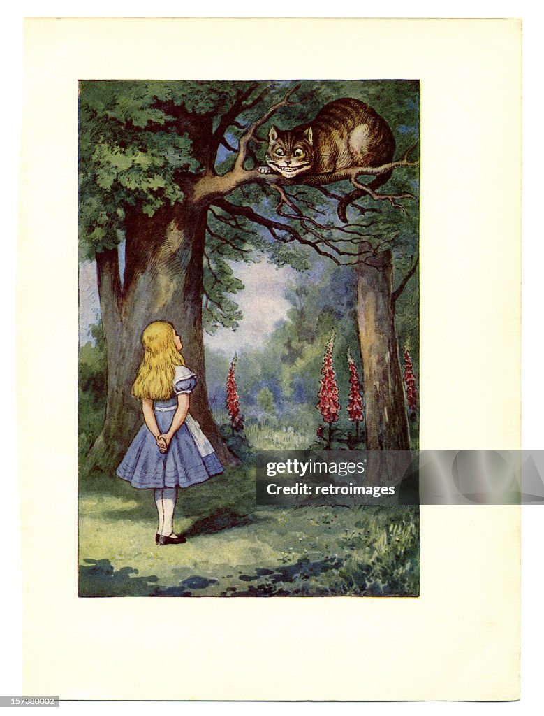 Cheshire Cat on tree illustration, (Alice's Adventures in Wonderland)