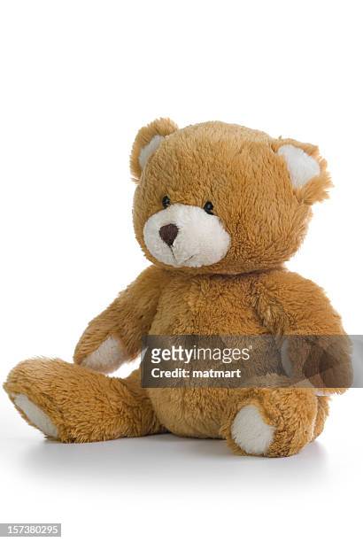 teddy teddybär - teddybär freisteller stock-fotos und bilder