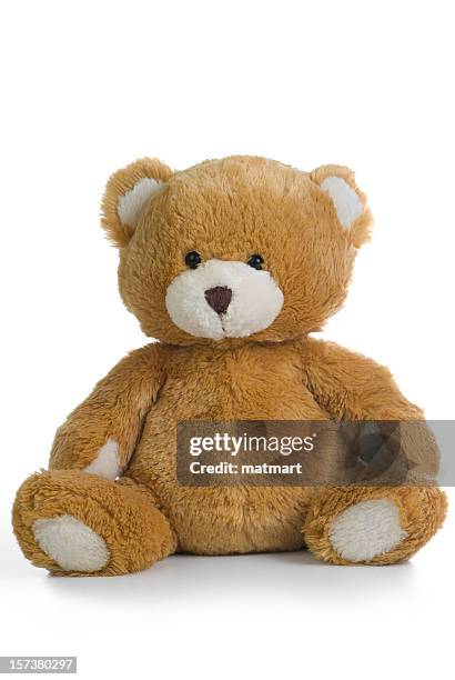 teddy teddybär - teddybär freisteller stock-fotos und bilder