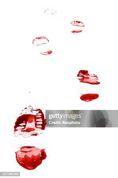 red shoe print auf weißem hintergrund - blut stock-fotos und bilder
