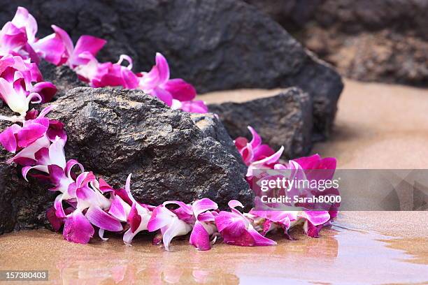 lei sobre las rocas - maui fotografías e imágenes de stock