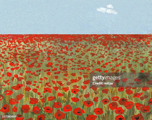poppy field in a sunny day - poppy fields stock illustrations