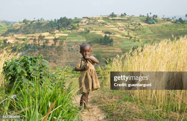 young african tending to the fields among tall grass - food crisis stock pictures, royalty-free photos & images