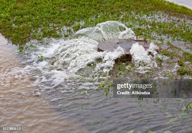 manhole cover bubbles over - torrential rain stock pictures, royalty-free photos & images