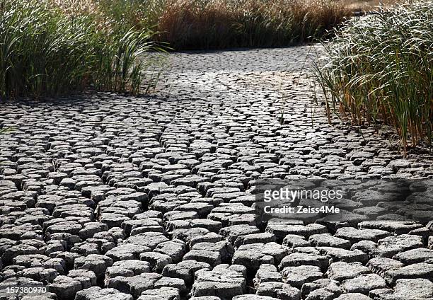 parched earth with cracked riverbed - mud riverbed stock pictures, royalty-free photos & images