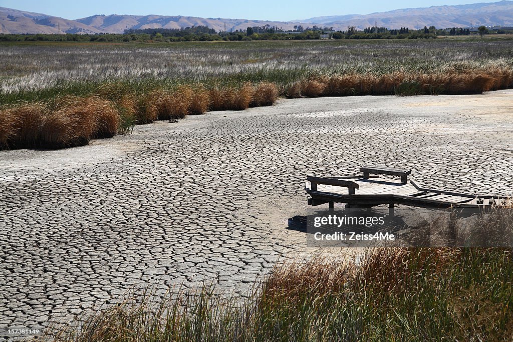 Drought conditions lead to dried up marsh or riverbed