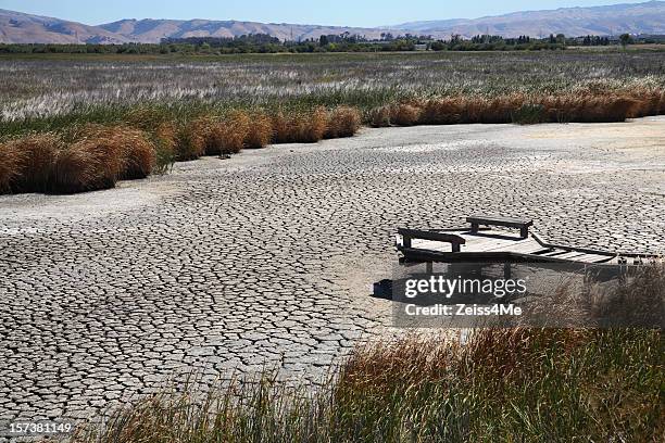 drought conditions lead to dried up marsh or riverbed - heatwave 個照片及圖片檔