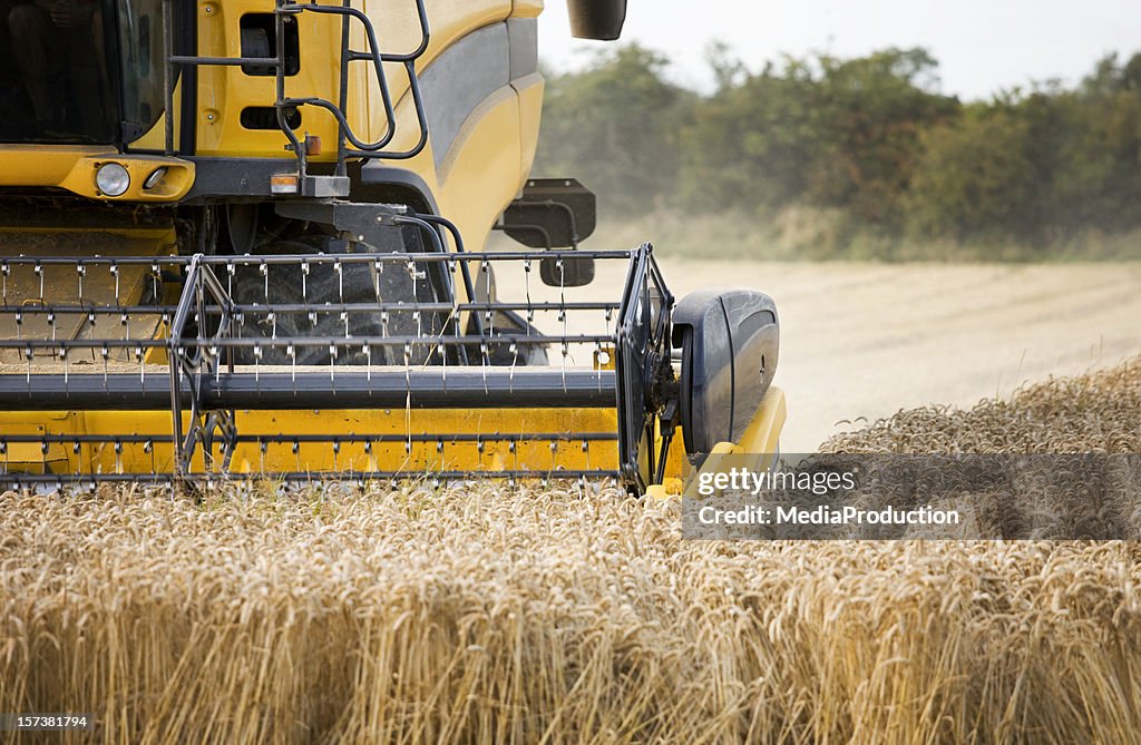 Harvest