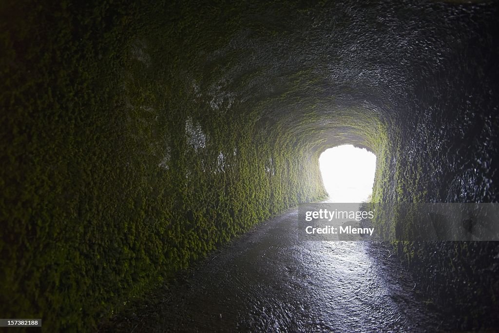 Light shining at the end of moss covered tunnel