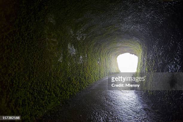 light shining at the end of moss covered tunnel - way out sign stock pictures, royalty-free photos & images