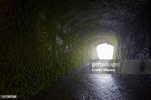 light shining at the end of moss covered tunnel - light at the end of the tunnel 個照片及圖片檔