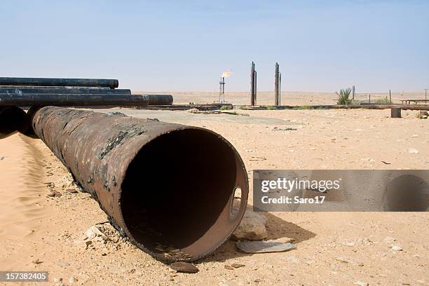 Saharian Saharian Desert Photos and Premium High Res Pictures - Getty Images