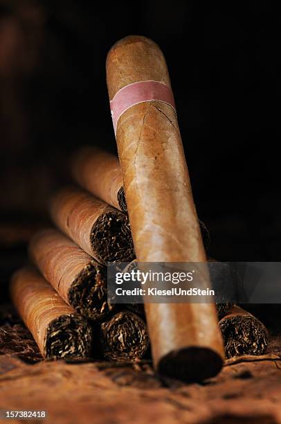 kubanische zigarren - cigar stock-fotos und bilder