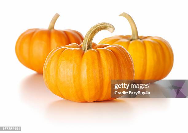 three tiny orange pumpkins on a white background - babypompoen stockfoto's en -beelden