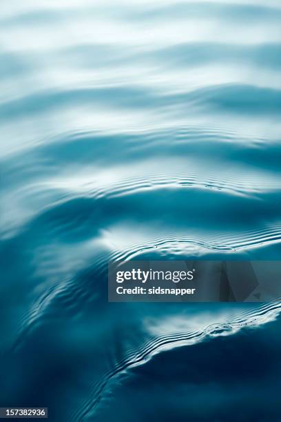 Wake Ripples 1,521 Wake Ripple Stock Photos, High-Res Pictures, and Images - Getty ...