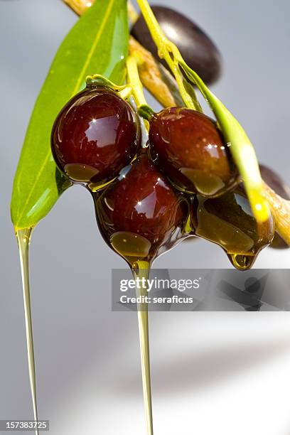 huile d'olive extra-vierge - olive noire photos et images de collection
