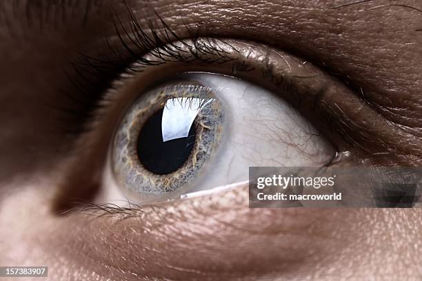 eye - macro eye stock pictures, royalty-free photos & images