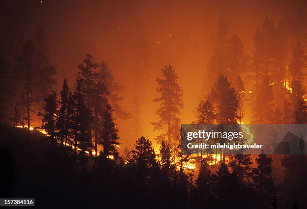 feuerring bailey colorado rocky mountain wald ein lauffeuer - ring flames stock-fotos und bilder