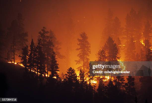 火の輪 bailey コロラドロッキー山脈森林で発生した野火 - 火災 ストックフォトと画像