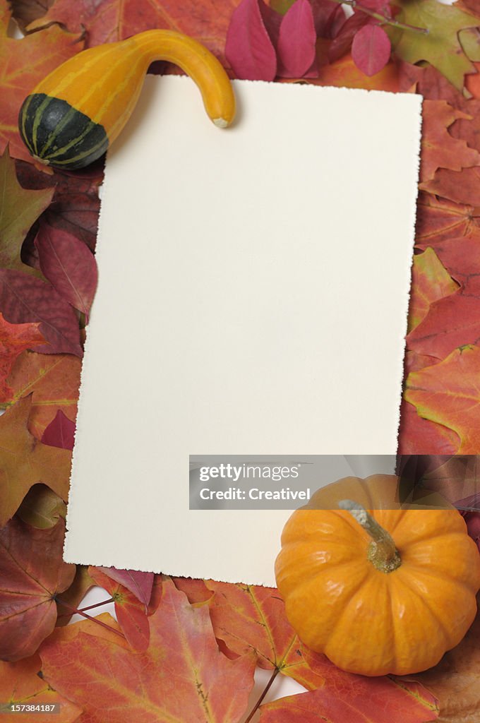 Blank thanksgiving card  framed by colorful leaves and small pumpkin