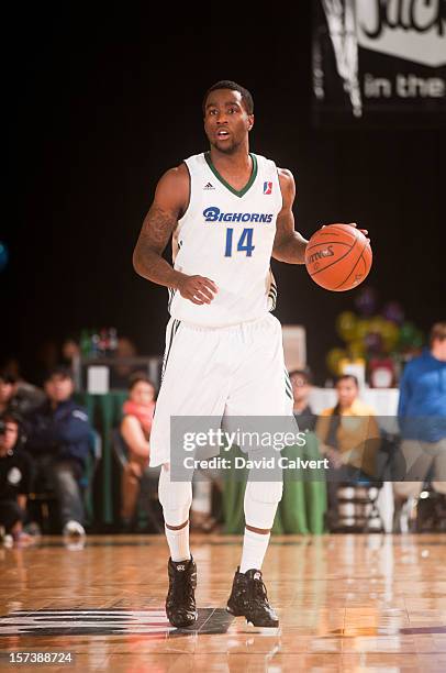 Tony Wroten of the Reno Bighorns brings the ball up court against the Santa Cruz Warriors on December 2, 2012 at the Reno Events Center in Reno,...