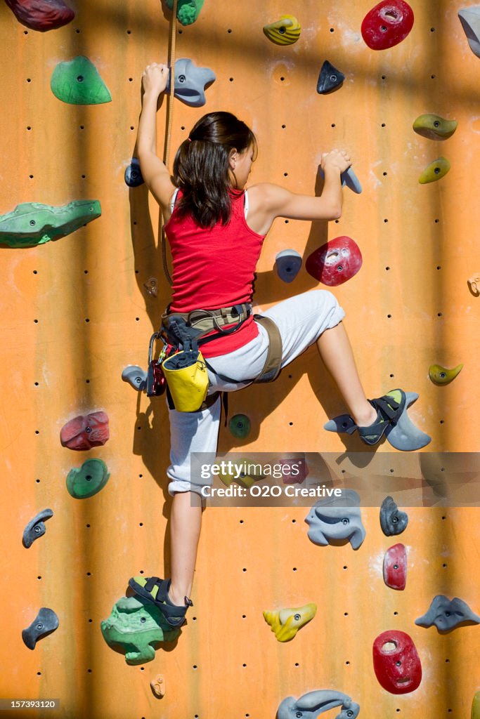Indoor Rock Climber