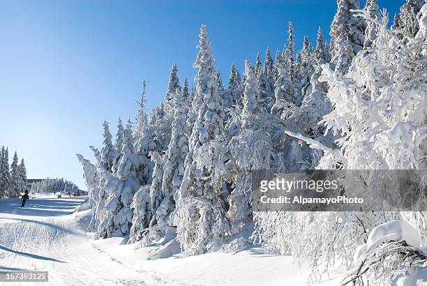 winter magic - viii - mont tremblant ski village stock pictures, royalty-free photos & images