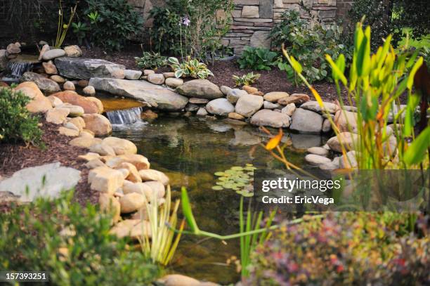 gestalteten koi-teich - teich garten stock-fotos und bilder