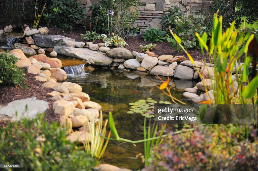 Landscaped Koi Pond