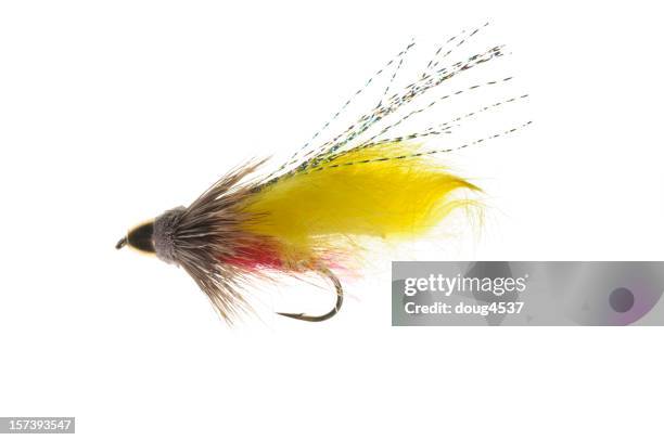 fly fishing lure - vishaak visgerei stockfoto's en -beelden