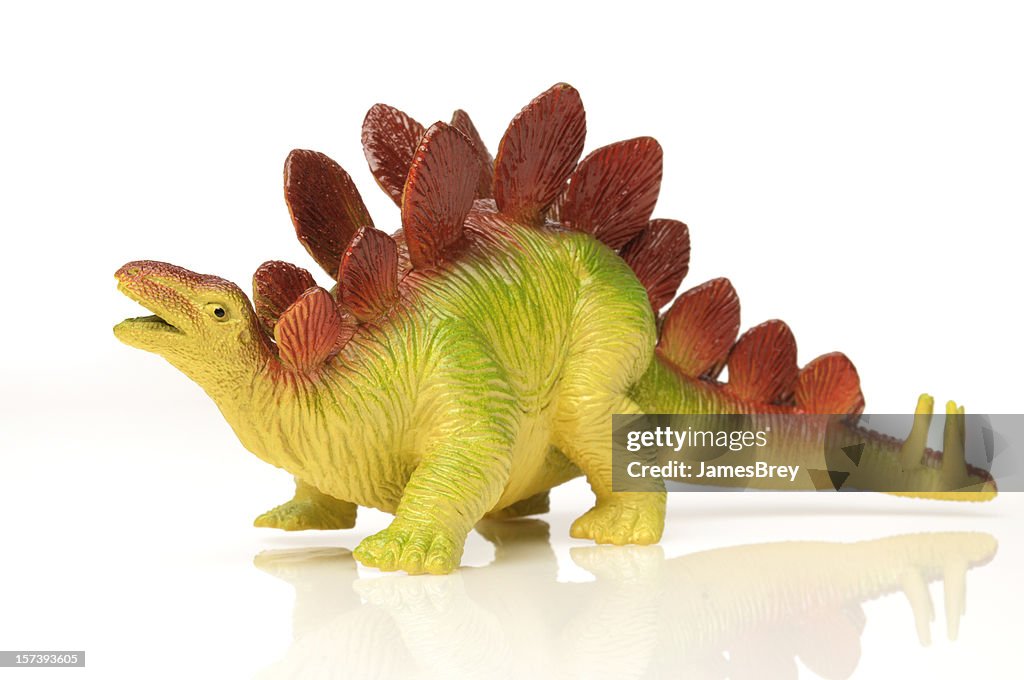 Toy Stegosaurus Dinosaur; Colorful, White Background, Extinct Species