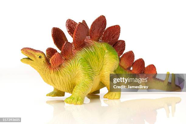 toy stegosaurus dinosaur; colorful, white background, extinct species - stegosaurus bildbanksfoton och bilder