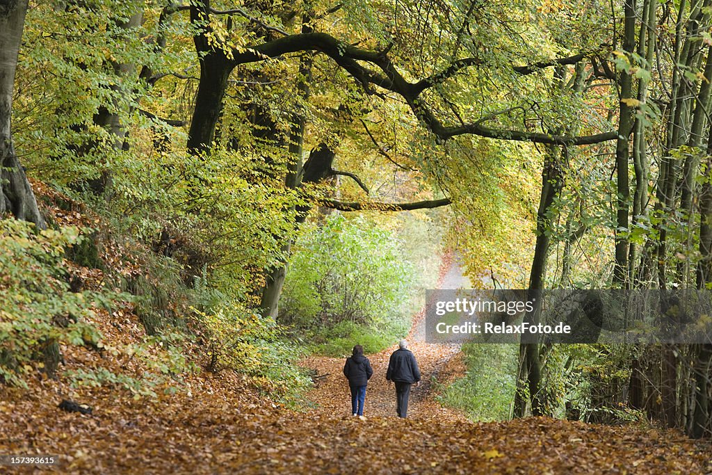 Rear View of Senior couple Walking in autumn forest (XL)