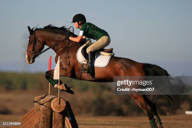 saltare nella luce del mattino - evento equestre foto e immagini stock