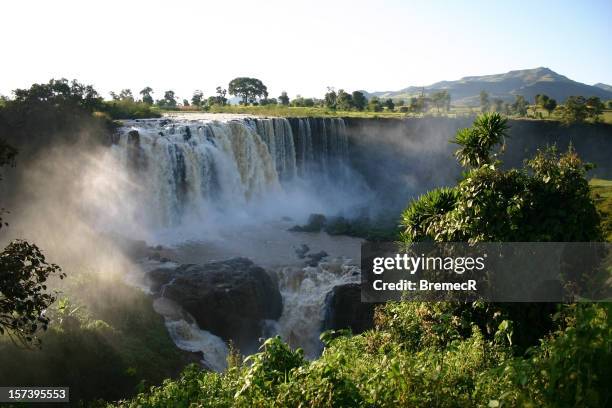 blu nilo fals - ethiopia foto e immagini stock