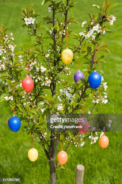 easter eggs - osterbaum stock pictures, royalty-free photos & images