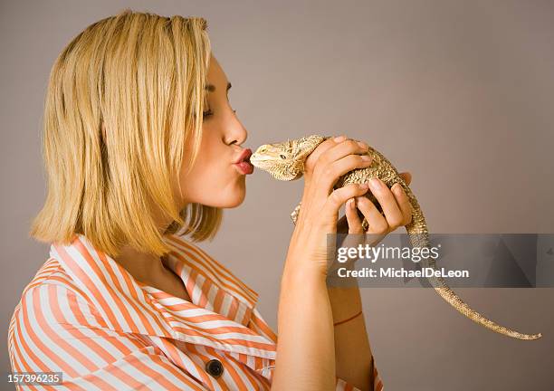 kiss the dragon - bearded dragon stock pictures, royalty-free photos & images