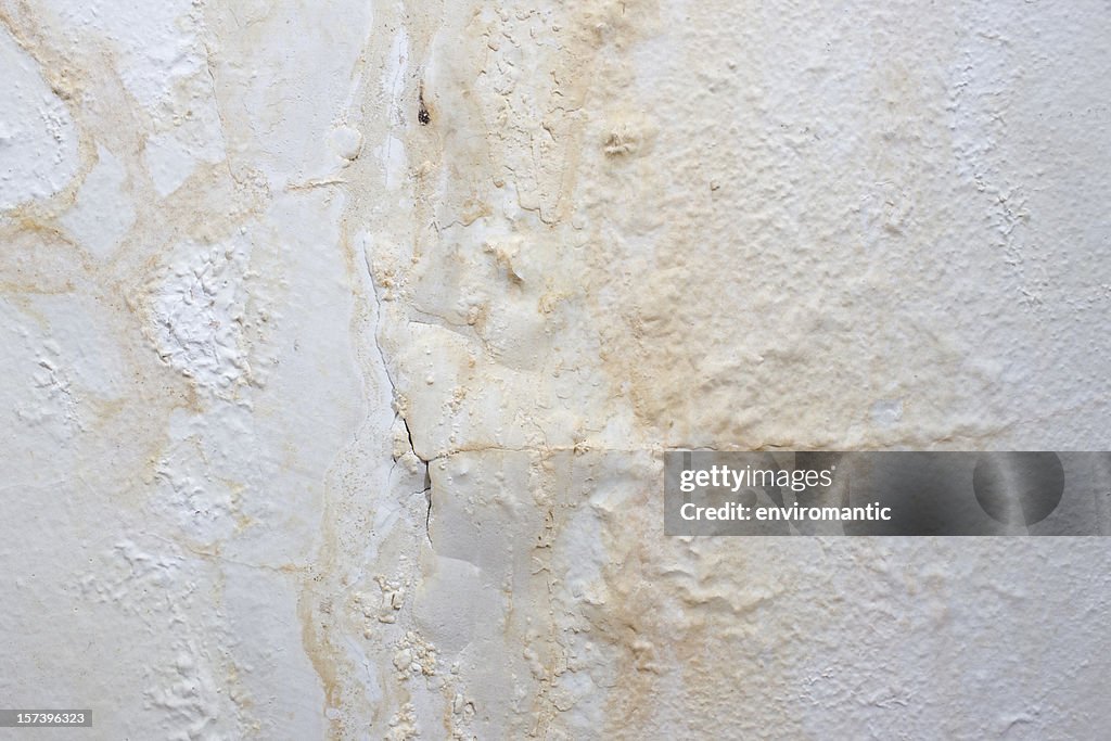 Mur peint de fond, affecté par humidité.