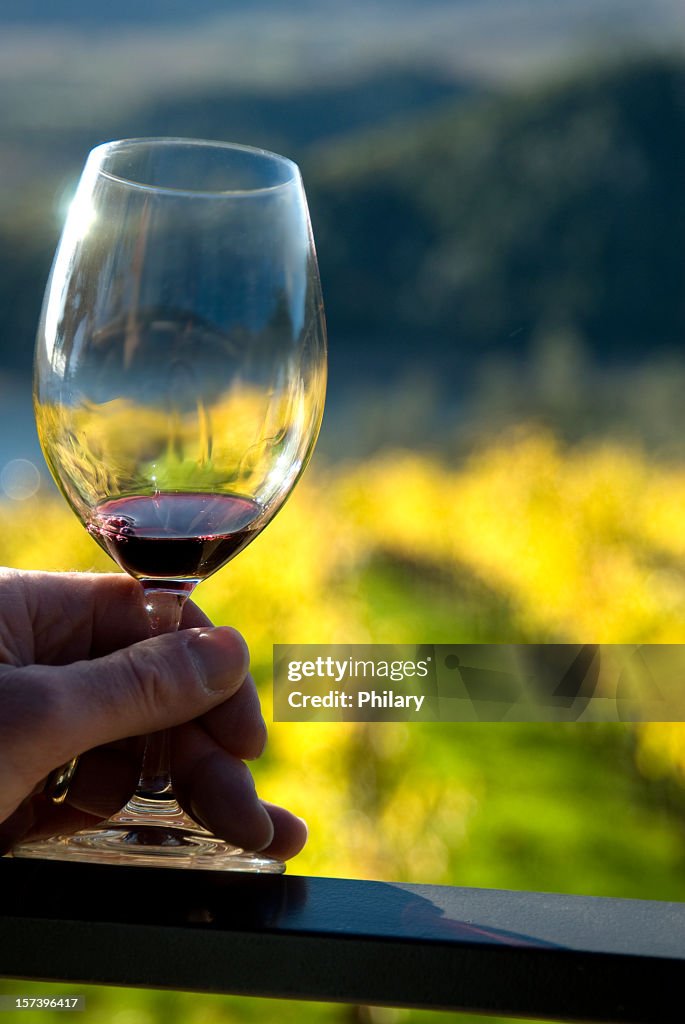 Holding a glass of wine with grape fields in background