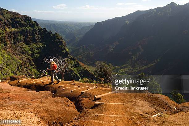 one woman hiking a waimea canyon trail, hawaii. - kauai stockfoto's en -beelden