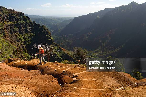 one woman hiking a waimea canyon trail, hawaii. - kauai bildbanksfoton och bilder