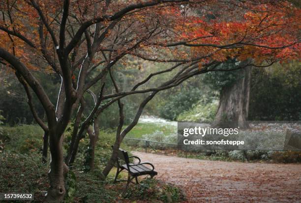 Japanese Garden Benches Photos and Premium High Res Pictures - Getty Images