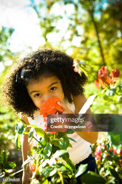 373 Child Smelling Rose Stock Photos, High-Res Pictures, and Images ...