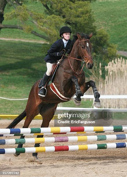pferd und fahrer in der luft - springreiten stock-fotos und bilder