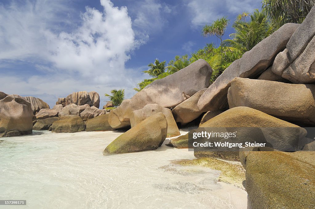 Rocks on a beach with palmtrees in backside