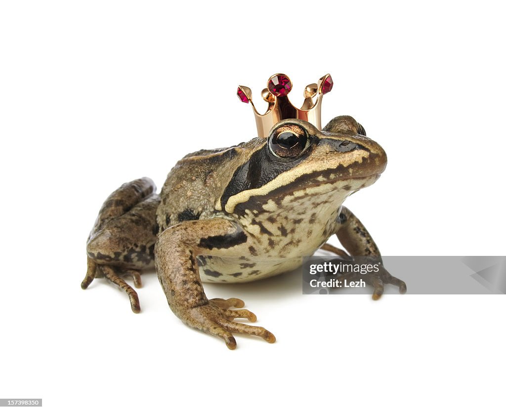 Frog wearing a crown against white background